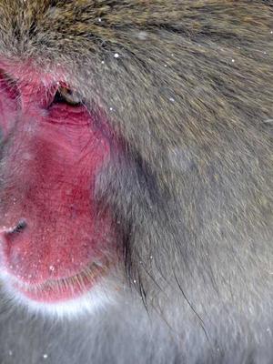 迷人的乡村农贸市场海报