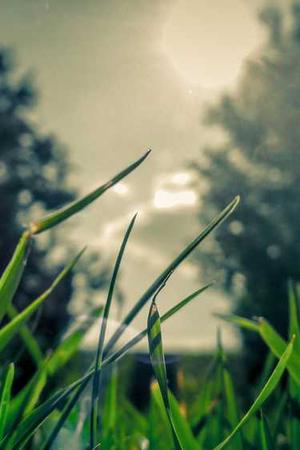 古怪独立短片电影节海报