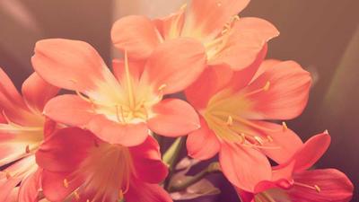 瑜伽与冥想工作室宣传海报